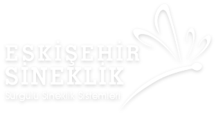 Eskişehir Sineklik