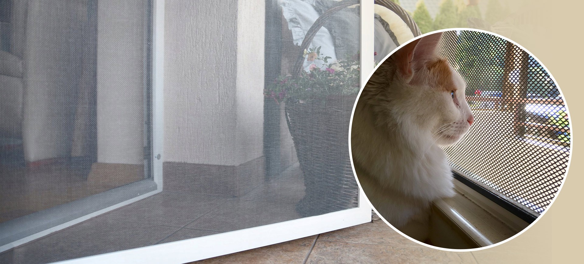 Kedi Sinekliği ile Pencereler, Balkonlar Güvende